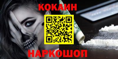 индика Можга