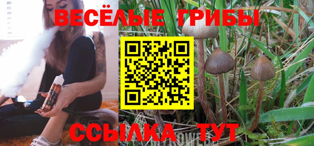 Строитель  Галлюциногенные грибы MAGIC MUSHROOMS  Псилоцибиновые грибы прущие грибы  Вход с VPN 